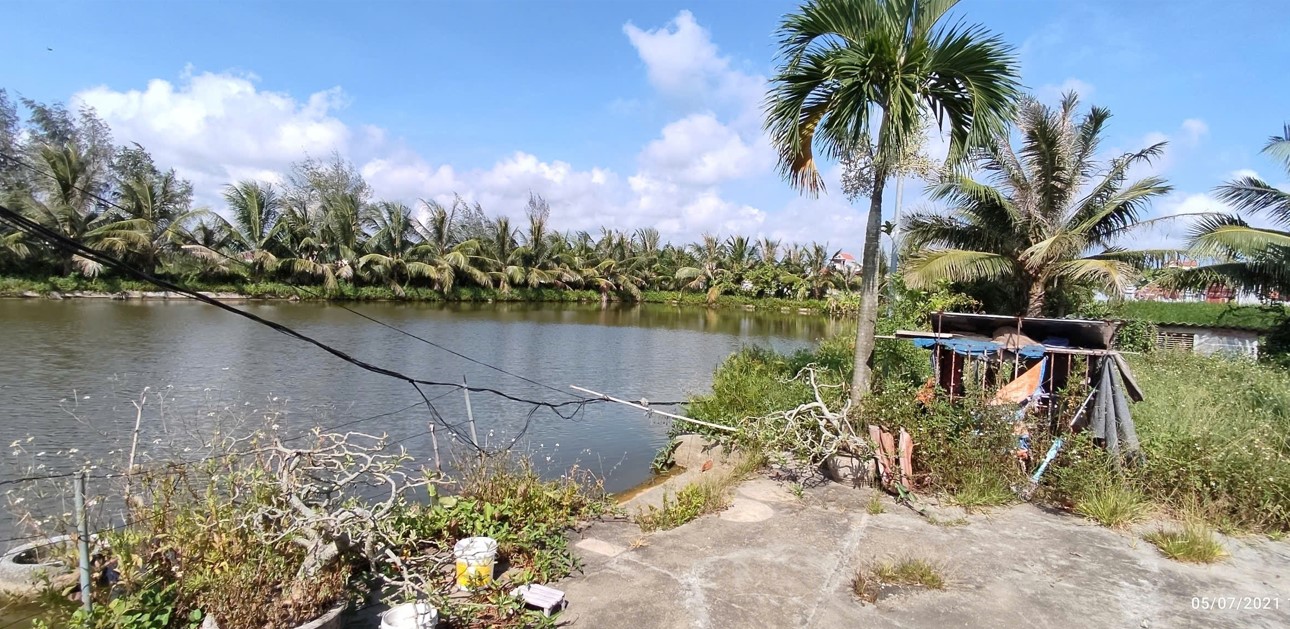 Bán Lô Đất Trang Trại Hơn 5000m² tại Kiến Thụy – Hải Phòng - Ảnh 1